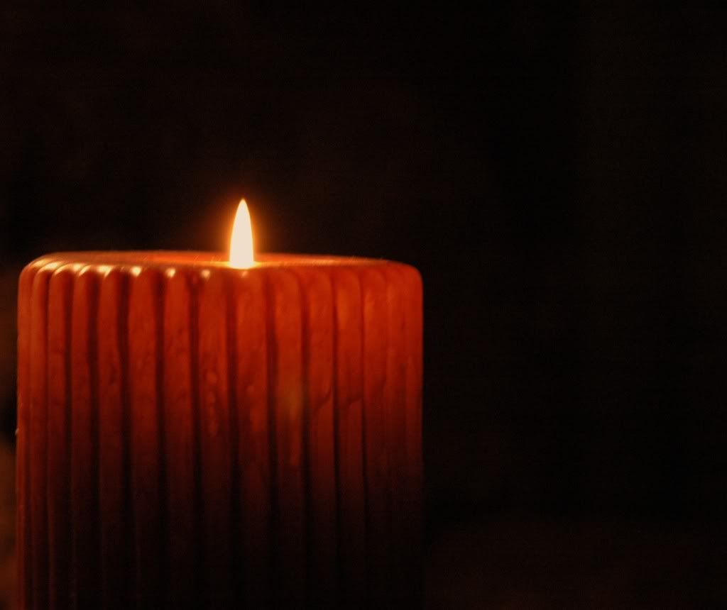 "Thousands Of Candles Can Be Lit From A Single Candle, And The Life Of